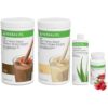Herbalife Shake Karışımı 1 Vanilya 1 Çikolata Aloe Vera 1 Ahududu Çay