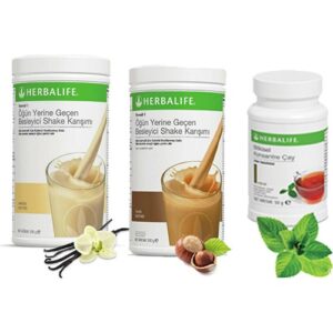 Herbalife Shake Karışımı - 1 Vanilya - 1 Fındık - 1 Klasik Çay